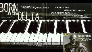 Pinetop Perkins   Born In The Delta   1997   Everyday I Have The Blues   Dimitris Lesini Blues
