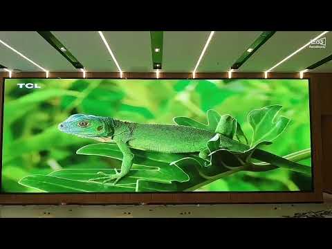 Indoor Led Screen IF-B Series Video Cover