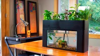 AquaSprouts Garden