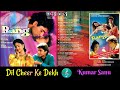 Dil Cheer Ke Dekh Kumar Sanu Rang 1993 Superhit Hindi Song Original Tips CD Rip HQ