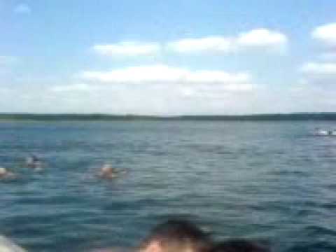 decha Cinka  dwa ;DD