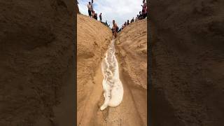 Download lagu Small trench connects river to ocean! mp3 Download lagu Small trench connects river to ocean! mp3