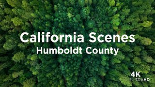 California From Above: Humboldt County Redwoods and Ocean Aerial Views | 4K Drone Compilation