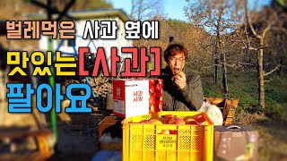 사과쥬스만 주문가능해요! 내년엔 사과농사 잘 지어볼게요~