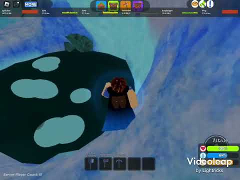 ICE boss in lost land