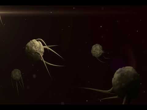 Hantavirus Argentina