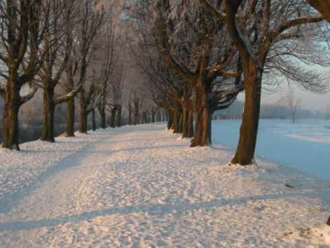 Winter wonderland video