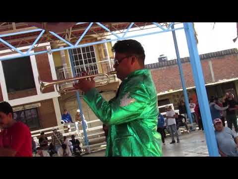 Paso Doble las Tres Marias - Banda Monarca de Morelia