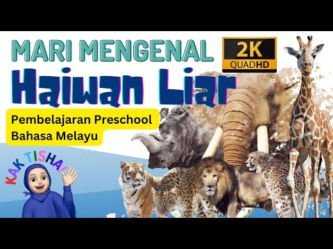 Mari Mengenal Haiwan Liar beserta bunyi | Bunyi Haiwan | Preeschool | Video Pendidikan Anak Di Rumah