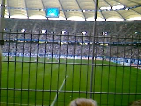 Ailton verspielt HSV- Hoffnung