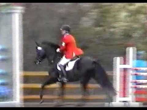 Windfall Show jumping