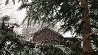 OUR HOME IN THE WOODS - Snowed in: Cabin Life, Winter Hike & Romance