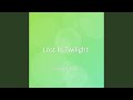 Lost In Twilight
