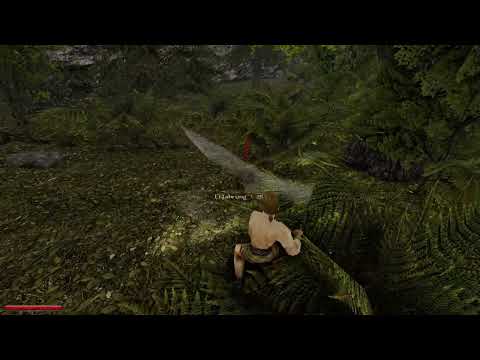 Let`s Play Gothic 2  l`hiver Uriziel mod-Part 1: Aller Anfang ist schwer.