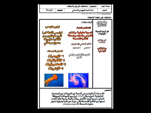 نموذج استراتيجية ملاحظات كورنيال