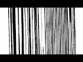 The Dead C - three years