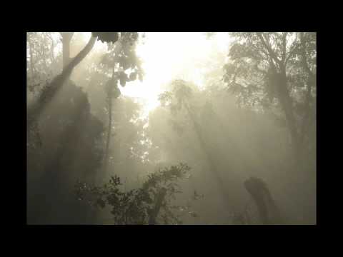 Mike Saint-Jules pres. Tycho - Crater