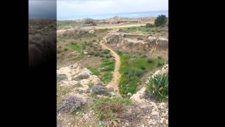 Los Feliz Mails David Music for Siesta