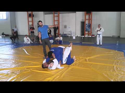 Roger Milea vs Robert Toma