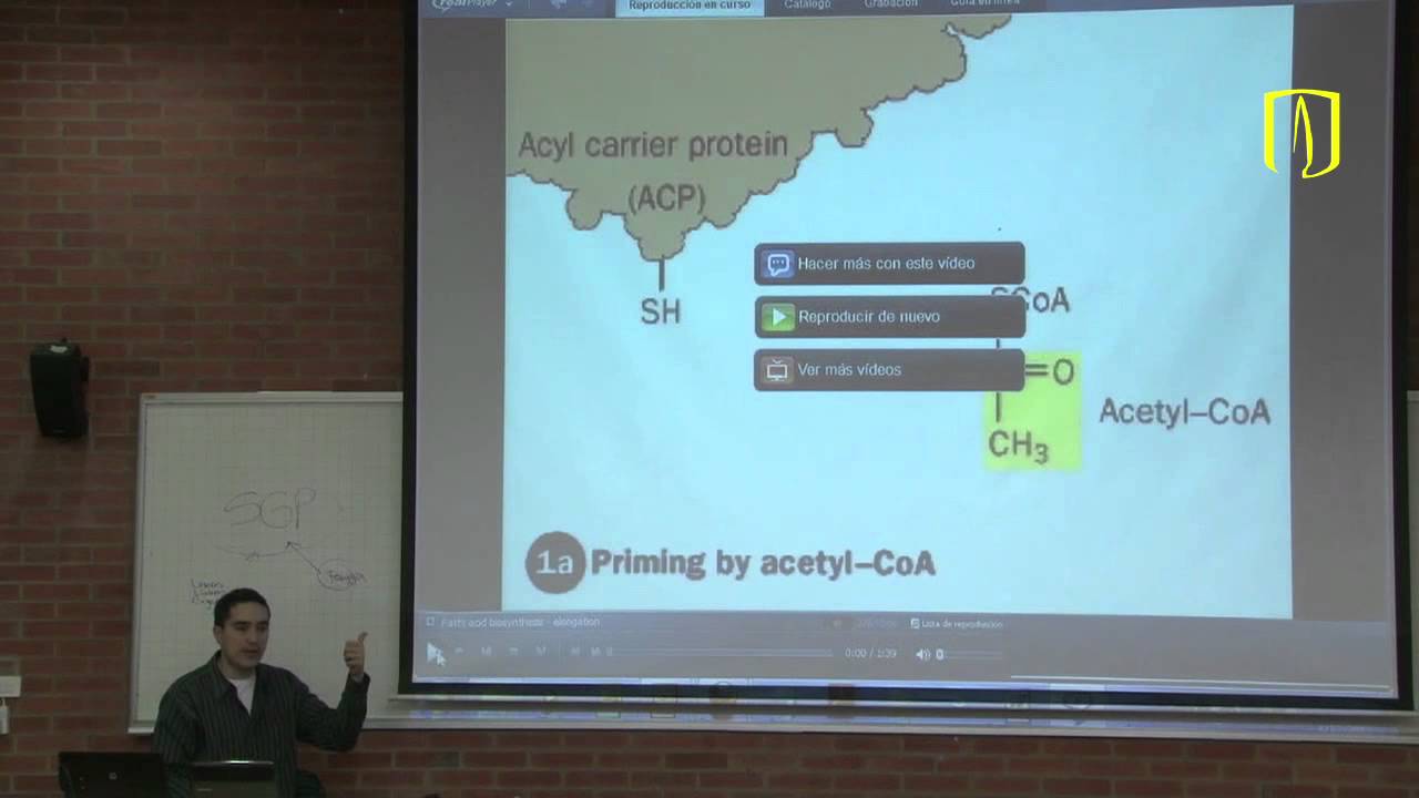 Síntesis y degradación de ácidos grasos - Bioquímica médica