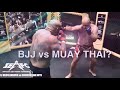 BJJ Black Belt Grappler vs Muay Thai Striker MMA Fight | SEAFC Homeland II