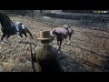Red Dead Redemption 2 Rp Outlaws