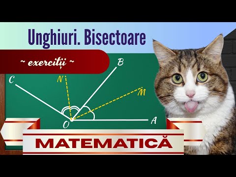 Rezolvăm exerciții cu UNGHIURI și BISECTOARE | Clasa a 5-a