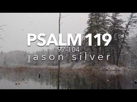 🎤 Psalm 119:97-104 Song - Meditate - Scripture Song