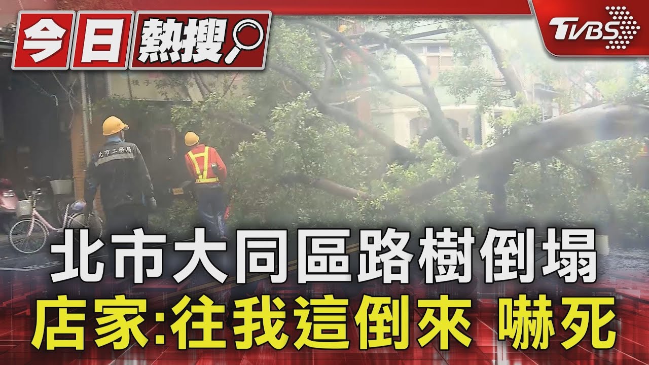 北市大同區路樹倒塌 店家:往我這倒來嚇死