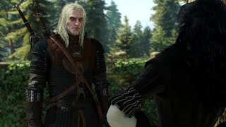 Book Accurate Geralt Searching Ciri