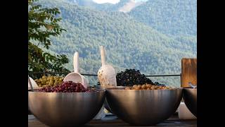 A’dan Z’ye Zeytin Rehberi: Türleri, Kalibreleri ve Bilimsel Gerçekleri