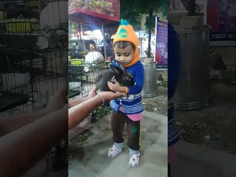 sanah enjoying with pet animal ❤️