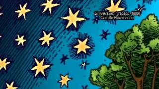 Un eucalipto en la Luna.