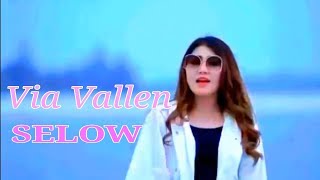 Download lagu Via vallen - selow (versi reggae koplo) mp3