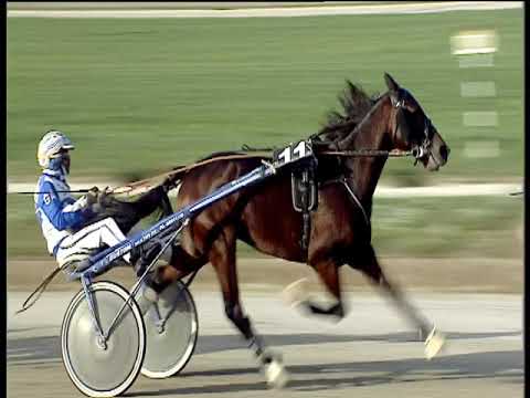 Trotto 15/11/2019 - 2ª corsa