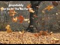 Grandaddy  The Go In The Go For It