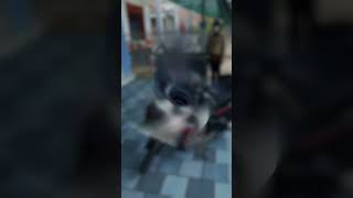 Test ánh sáng Kenzo S600 Pro Airblade 2018 Trà Ôn