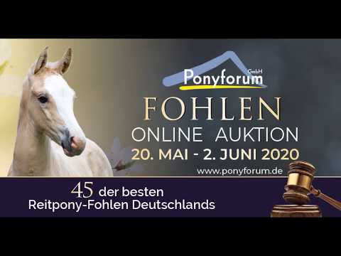 MR MOONLIGHT HF v. FS Mr  Right - Cocktailzauber