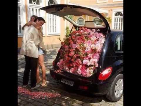 Kaugurieši- gundegas.