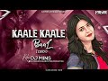 Kaale Kaale Baal Gaal Gore Gore - Ziddi | 1997 | Sunny Deol, Raveena Tandon ( Dutch Mix ) - Dj Mins