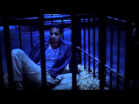 download lagu mp3 mp4 Black Forest Film, download lagu Black Forest Film gratis, unduh video klip Black Forest Film