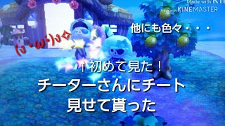 ｢とび森｣スチル村長さんにチート技見せてもらった！色々とやべぇw