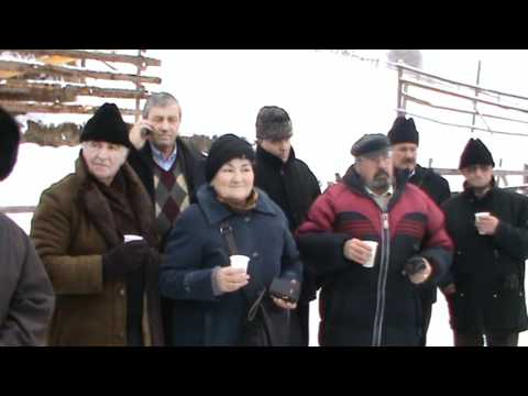 Bilbor - prezentare geografica