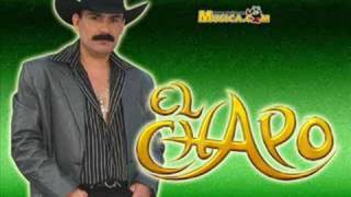El Chapo De Sinaloa -  Te Doy 8 Dias (Audio)