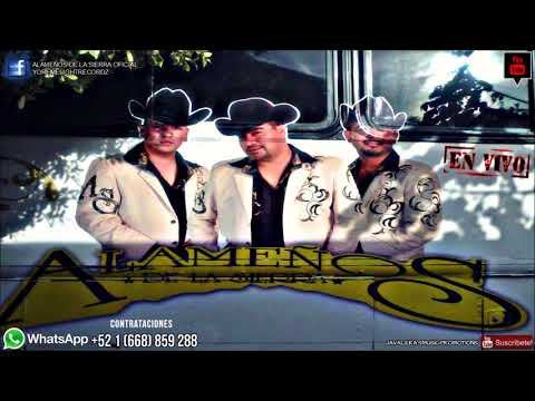 Los Arroyuelos [En Vivo F.P.] .- Alameños De La Sierra