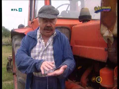 Gálvölgyi - Fókusz II (Pitt Bella)