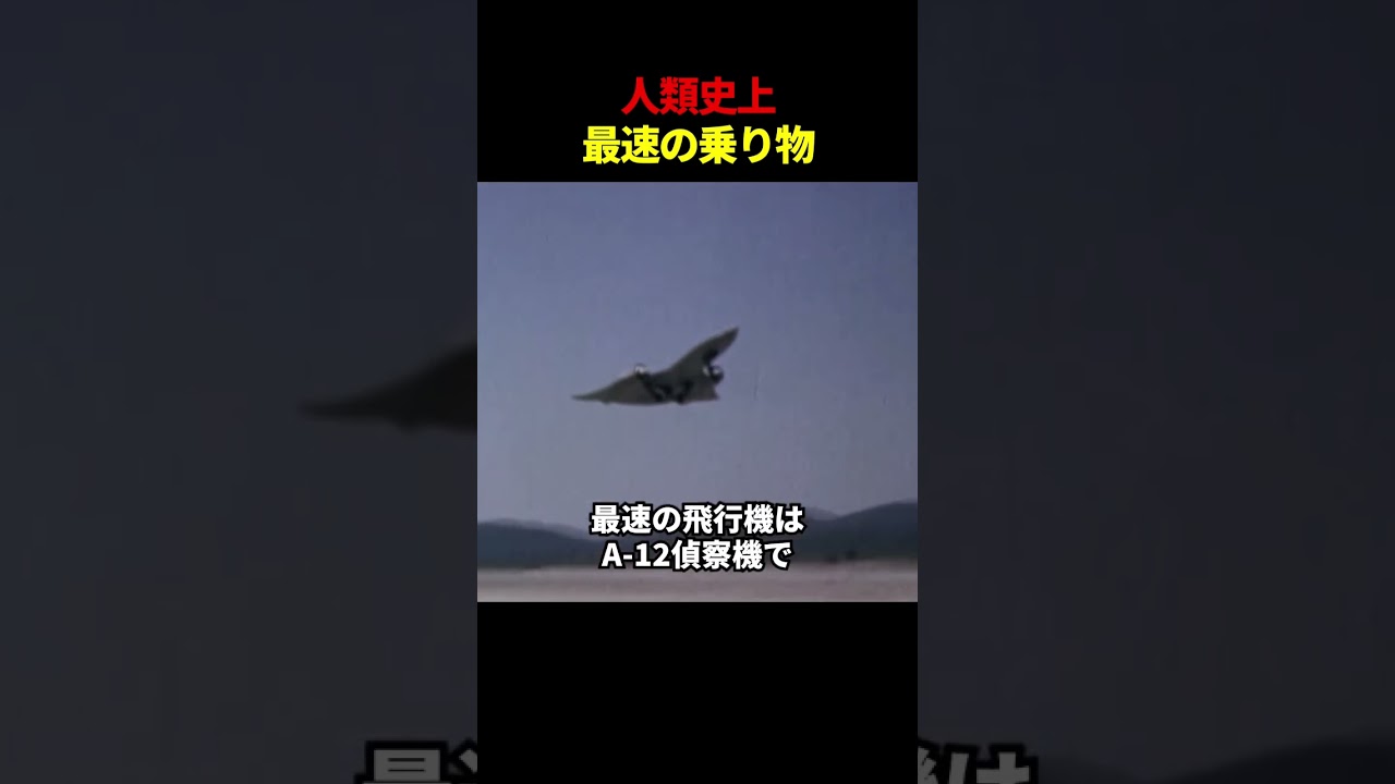 乗り物の速さを比べてみよう #雑学 #解説