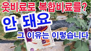 웃비료로 복합비료 주면 안 돼요. 한 두번은 몰라도 이렇게 자꾸주면 땅 망쳐요. 복합비료 주면 안 돼는 이유…