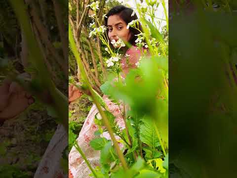 Chehra Keya dekhtey ho#shorts#Nabanita life style