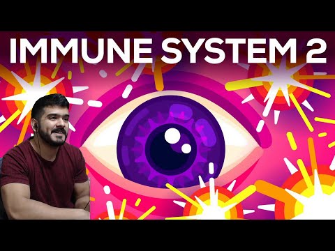 Tiny Bombs in your Blood - The Complement System (Kurzgesagt) CG Reaction
